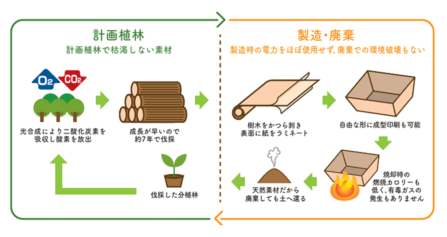ファルカタ材