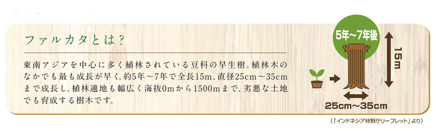 ファルカタ材